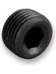 Earls Fitting Plug 1/16 in NPT Allen Head Aluminum Black Anodize