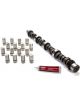 Edelbrock Camshaft / Lifters Performer-Plus Hydraulic Flat Tappet Lift 0…