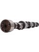 Edelbrock Camshaft Rollin Thunder Hydraulic Roller Lift 0.625 / 0.639 in…