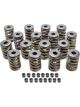 Edelbrock Valve Spring Sure Seat Single Spring / Damper 1.260 in Coil Bi…