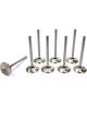 Edelbrock Exhaust Valve 1.810 in Head 11/32 in Valve Stem Stainless Edel…