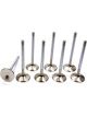 Ferrea Exhaust Valve Competition Plus 1.880 in Head 11/32 in Valve S
