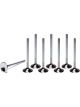 Ferrea Exhaust Valve Competition Plus 1.615 in Head 5/16 in Valve St