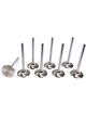 Ferrea Intake Valve 6000 Series 33.00 mm Head 5.47 mm Valve Stem 102.