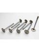 Manley Intake Valve Street Flo 1.850 in Head 0.342 in Valve Stem 5.07