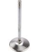 Manley Intake Valve Race Master 2.300 in Head 0.342 in Valve Stem 5.4