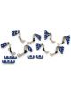 Moroso Spark Plug Wire Loom Valve Cover Mount 7-9 mm Blue / Chrome Big …