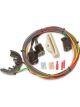 Painless Wiring Ignition Wiring Harness Ford Duraspark II Ford V8