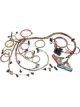 Painless Wiring EFI Wiring Harness Extra Length GM LS-Series 1998-2002