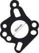 Tridon Thermostat Gasket