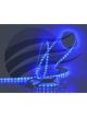 Jaylec LED Strip Lighting 12V 5M Blue Leds with 3M Adhesive Tape 60