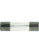 Champion Sfe 14Amp Fuses