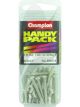 Champion Blister Handy Pack Fine Thread Screw