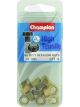 Champion Blister Bolt 1/4 Nuts