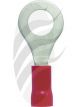 Jaylec Pack 10 Ring Terminal 6mm Insul Pvc Std Crimp Red Use Te1106Bl
