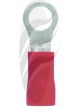 Jaylec Pack 10 Ring Terminal 4mm Insul Pvc Std Crimp Red