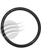 Dayco Thermostat Seal
