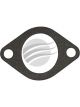 Dayco Thermostat Seal