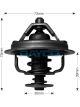 Dayco Thermostat
