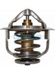 Dayco Thermostat