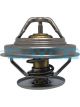 Dayco Thermostat