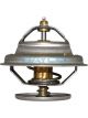 Dayco Thermostat