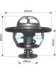 Dayco Thermostat
