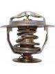 Dayco Thermostat