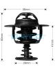 Dayco Thermostat