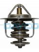 Dayco Thermostat
