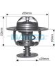 Dayco Thermostat
