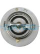 Dayco Thermostat