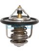 Dayco Thermostat