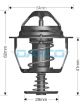 Dayco Thermostat