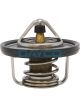 Dayco Thermostat