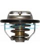 Dayco Thermostat