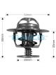Dayco Thermostat