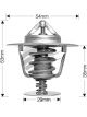 Dayco Thermostat