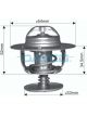 Dayco Thermostat