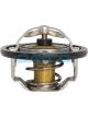 Dayco Thermostat