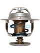 Dayco Thermostat
