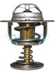 Dayco Thermostat