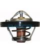 Dayco Thermostat