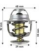 Dayco Thermostat