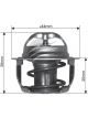 Dayco Thermostat
