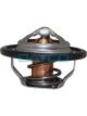 Dayco Thermostat