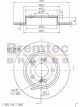 Bremtec Euroline Brake Rotor