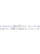 Bremtec Euroline Brake Wear Sensor