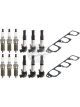 Bosch Coil & Plug Kit, VZ 3.6L 6 X Coils, 6 X Plugs & Gaskets For