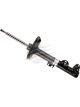 Bilstein Strut Front RH Side